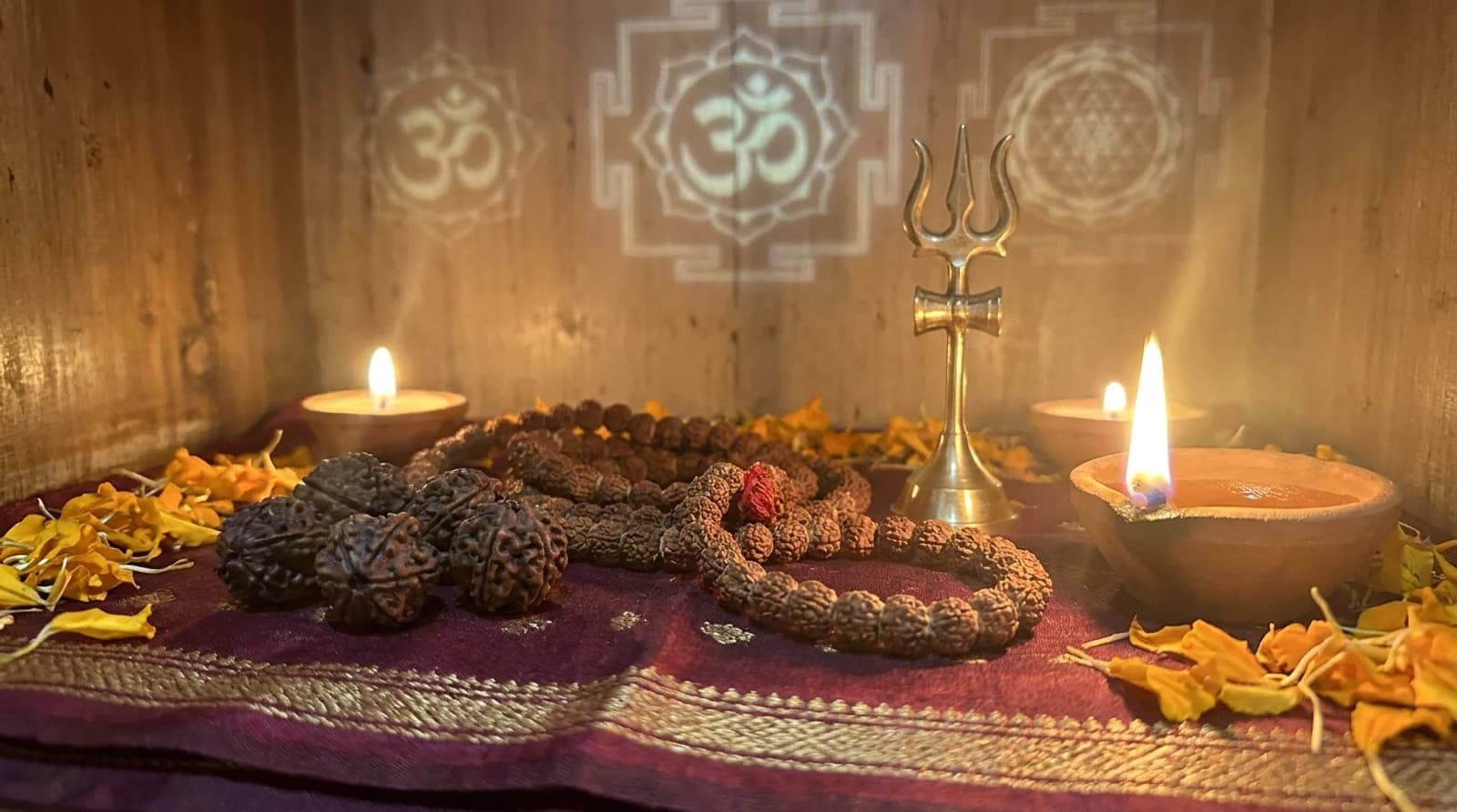 Original Nepali Rudraksha 5 Mukhi and 7 Mukhi beads with lab certificate and X-ray