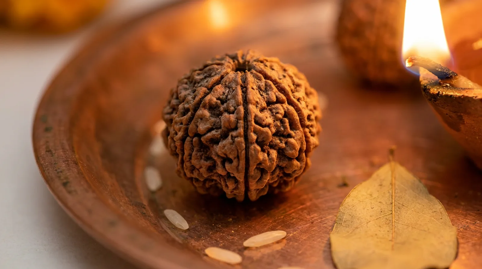 5 मुखी रुद्राक्ष — पाँच प्राकृतिक धारियों वाला रुद्राक्ष दाना