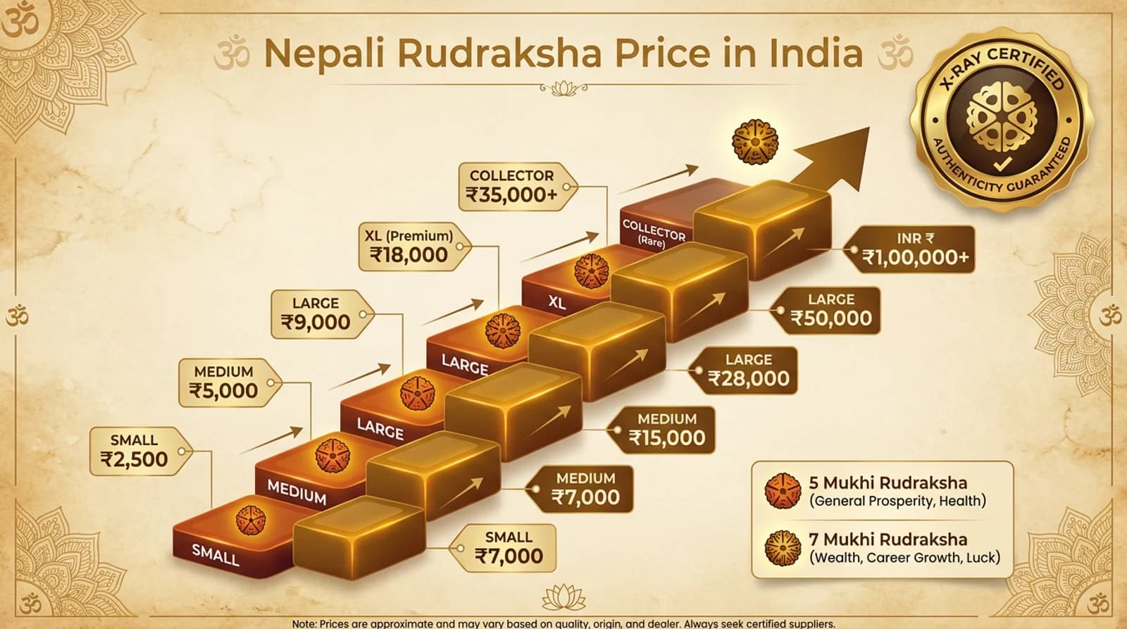 Certified nepali rudraksha beads, 5 Mukhi and 7 Mukhi, shown with an X-ray report and INR price tags